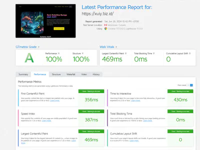 Professional Website Speed Optimization Services