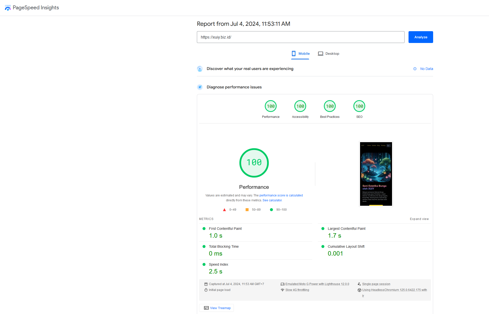 Score PageSpeed